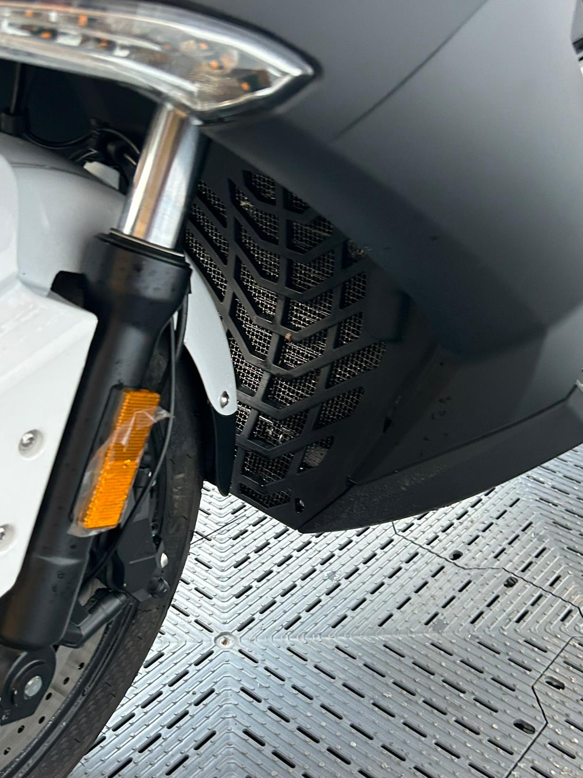 LEXMOTO PEGASUS 300 - Image 20