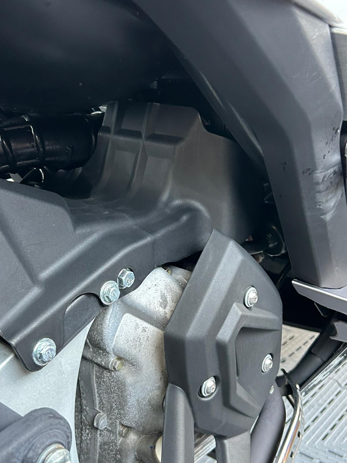 LEXMOTO PEGASUS 300 - Image 10
