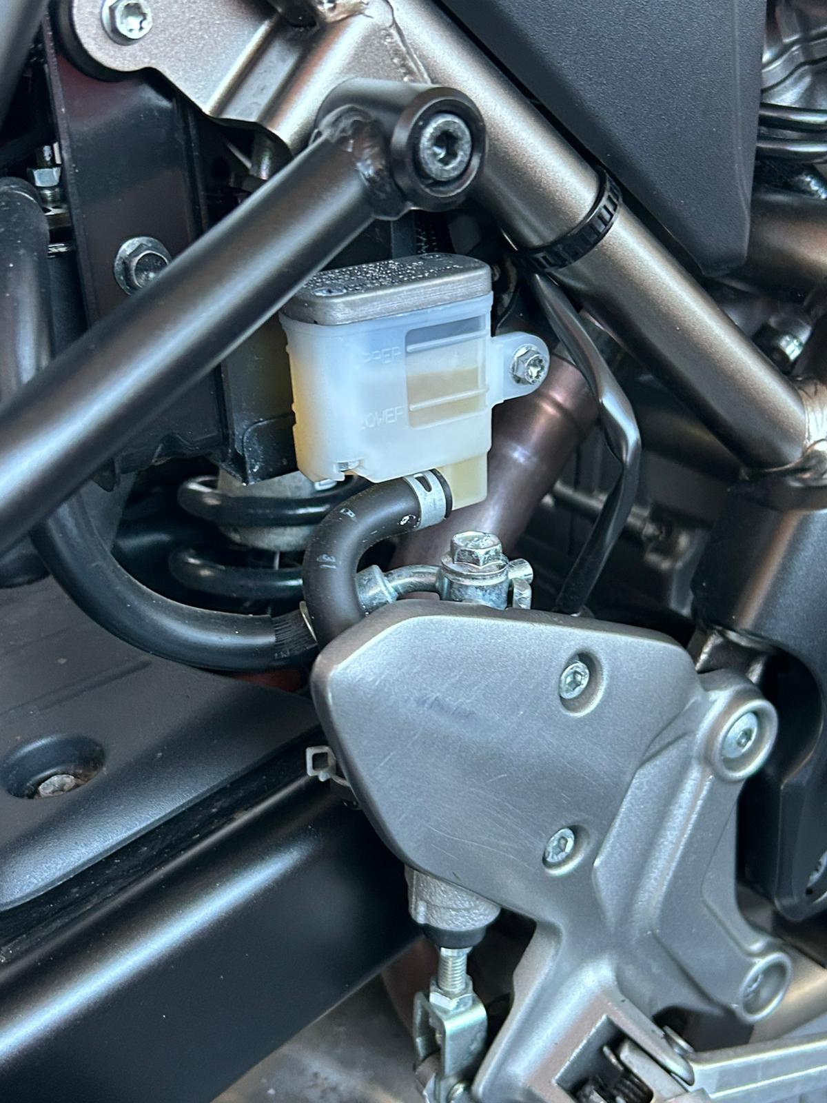 SUZUKI SV 650 - Image 3